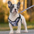 Nylon Dog Harness and Leash