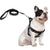 Small Dog Harness and Leash