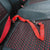 Car Seat Dog Harness and Leash