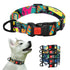 Nylon Printed Dog Collar