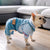 Denim Dog Coat