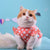 Summer Dress Pet Cloth